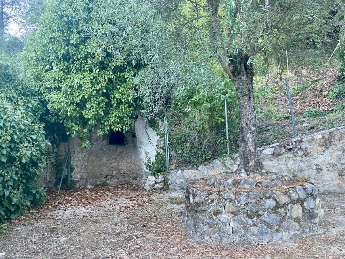 Stay Wild En Las Casitas De Huerta Arriba Benamahoma Zewnętrze zdjęcie